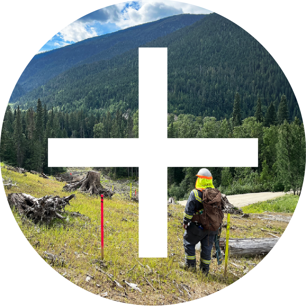 Person in safety gear standing in a forested area with mountains in the background